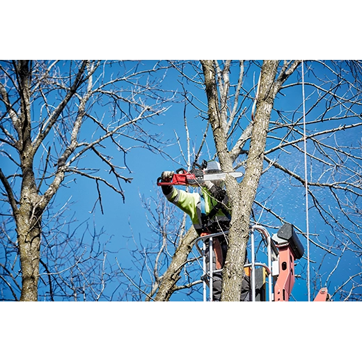 M18 FUEL™ 16" Chainsaw