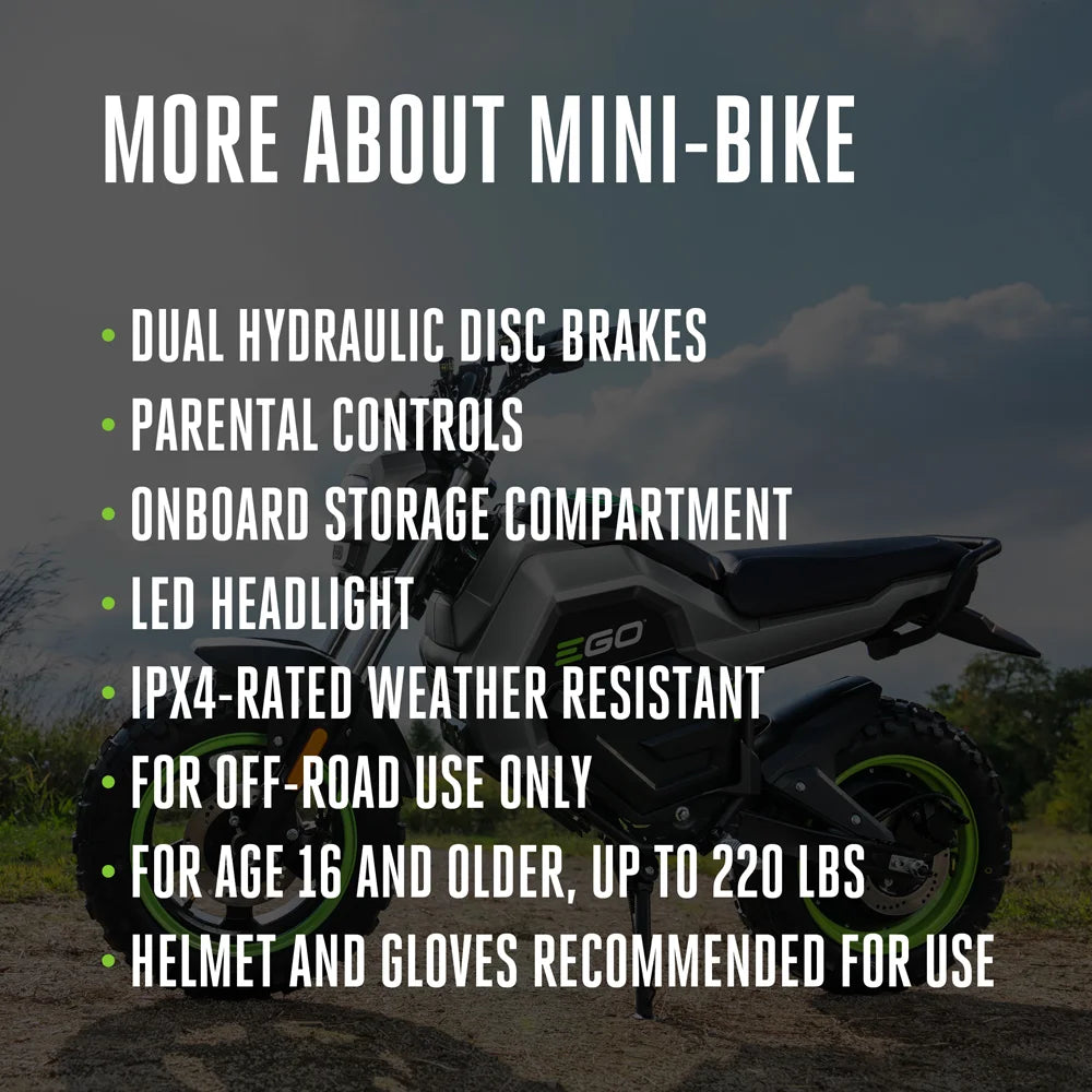 Mini Bike