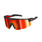 Polarized Wrap Around Safety Glasses