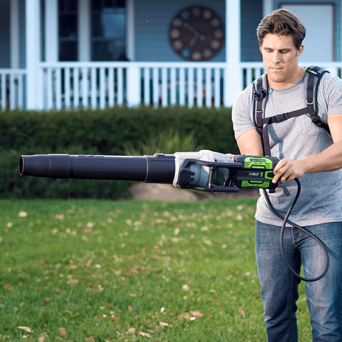 Backpack Link