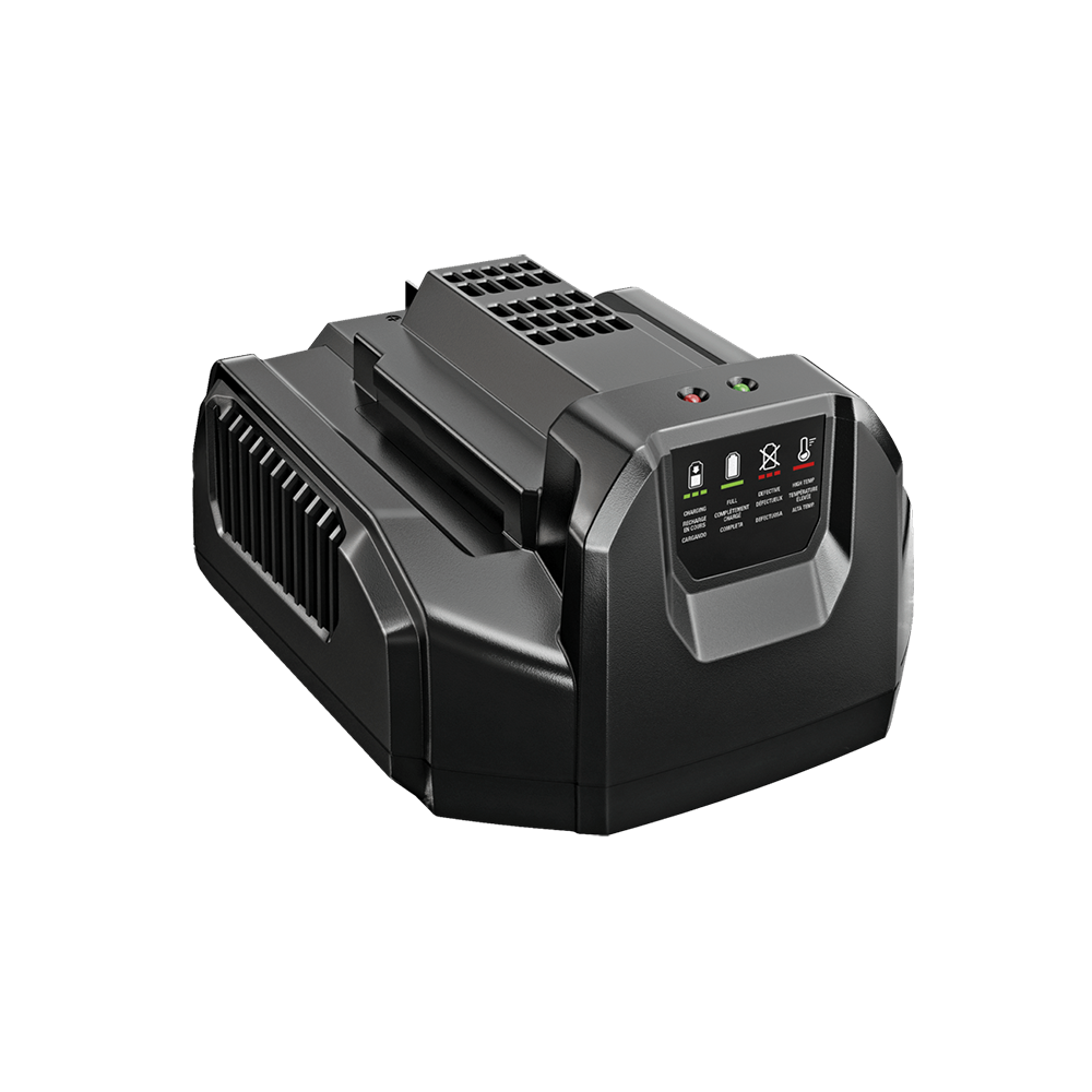 56 Volt Charger