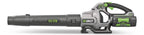 615 CFM Handheld Blower