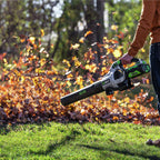615 CFM Handheld Blower