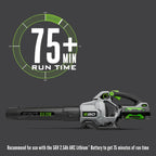 615 CFM Handheld Blower