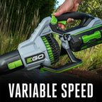 765 CFM Handheld Blower