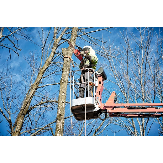 M18 FUEL™ 16" Chainsaw